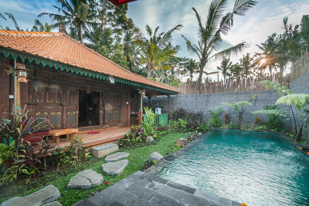 The Forest Batu Kurung Ubud Exteriér fotografie